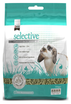 baby mini lop rabbit, baby dwarf lop rabbit, baby German lop rabbit